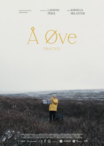Å øve afişi