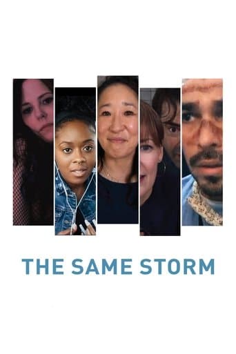 The Same Storm afişi
