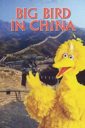 Big Bird in China afişi