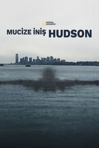 Miracle Landing on the Hudson afişi