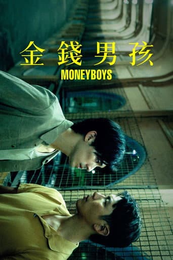 Moneyboys afişi
