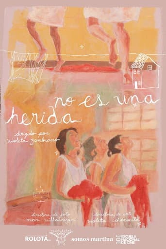 No es una herida afişi
