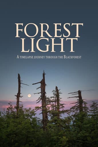 Forest Light afişi