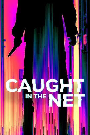 Caught in the Net afişi