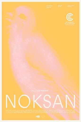 Noksan afişi