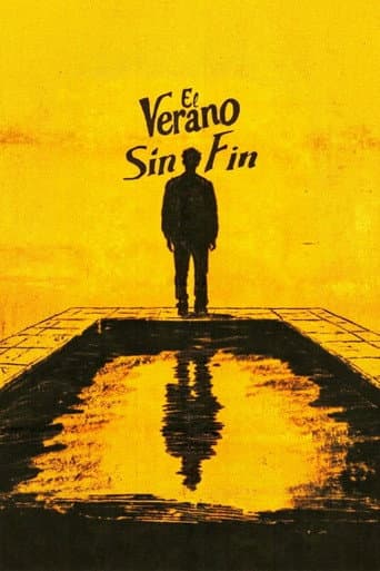 El verano sin fin afişi