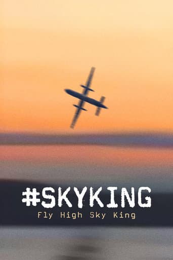 #SKYKING afişi