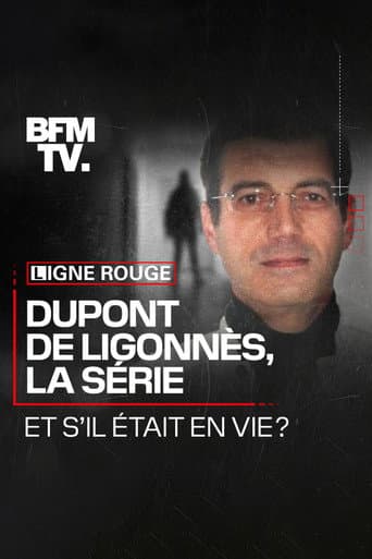Dupont de Ligonnès, la série afişi