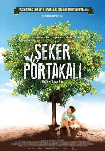 Şeker Portakalı afişi