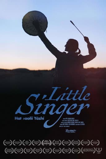Little Singer afişi
