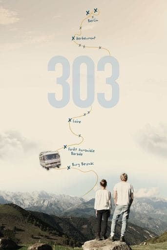 303 - Die Serie afişi