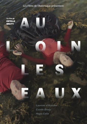 Au loin les eaux afişi