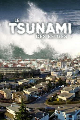 Le Tsunami des belges afişi