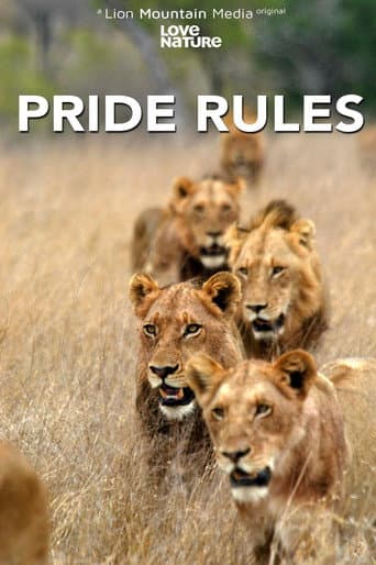 Pride Rules afişi