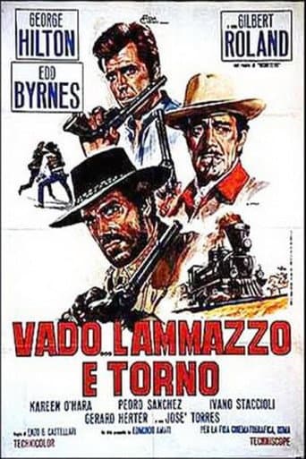 Vado... l'ammazzo e torno afişi
