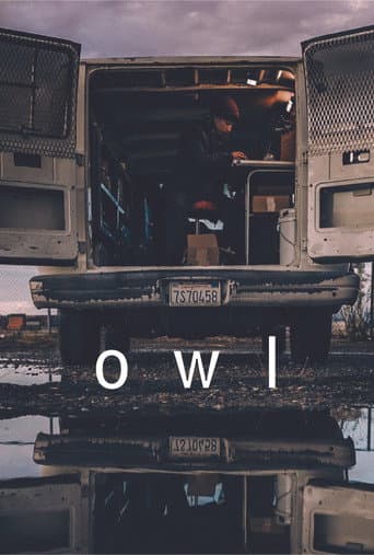 Owl afişi