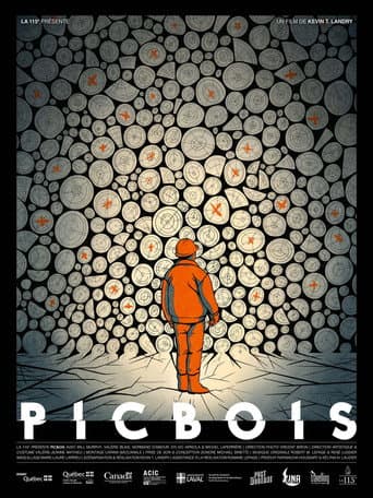 Picbois afişi