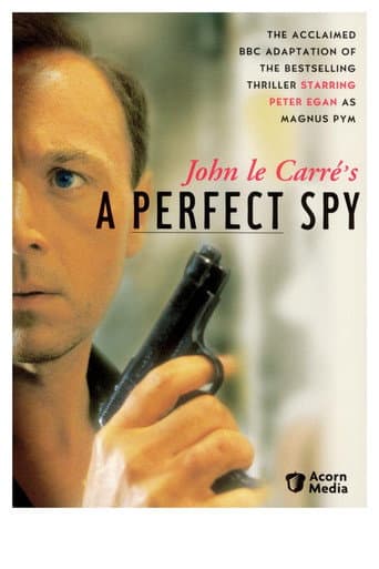 A Perfect Spy afişi