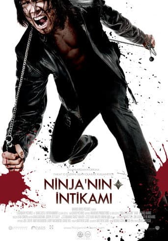 Ninja'nın İntikamı afişi