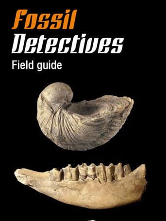 Fossil Detectives afişi