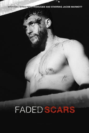 Faded Scars afişi
