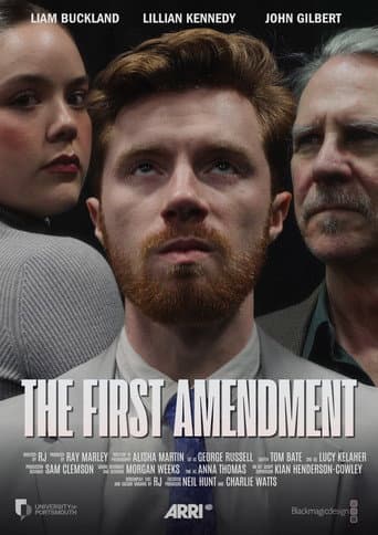 The First Amedment afişi