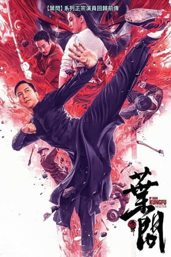 Ip Man: Kung Fu Ustası afişi