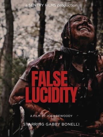 False Lucidity afişi