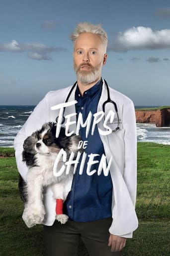 Temps de chien afişi