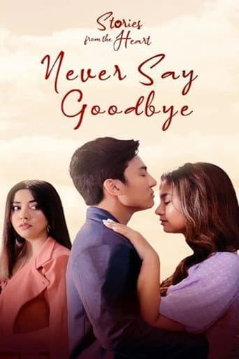 Stories From The Heart: Never Say Goodbye afişi
