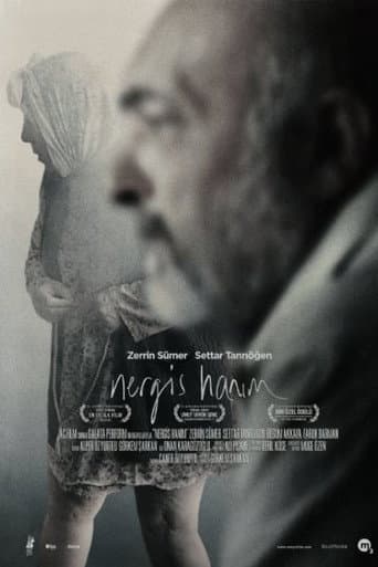Nergis Hanım afişi