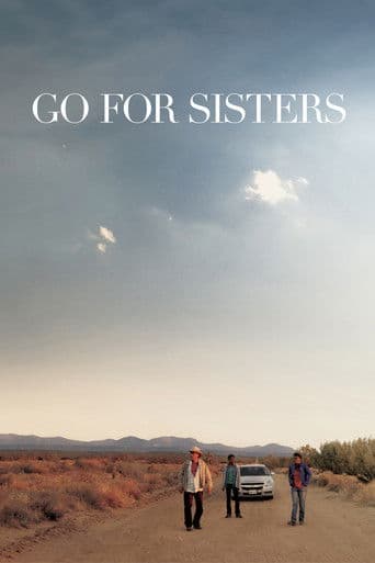 Go for Sisters afişi