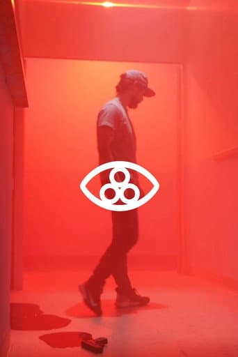 ANOMALY FOUND - CHASE BRODY afişi