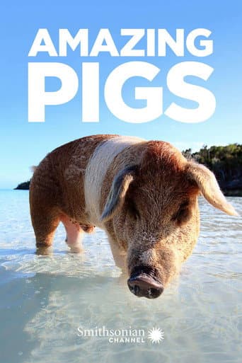 Amazing Pigs afişi