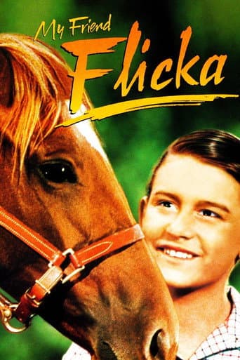 My Friend Flicka afişi
