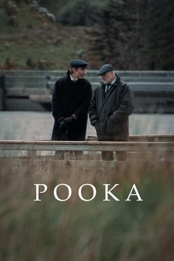 Pooka afişi