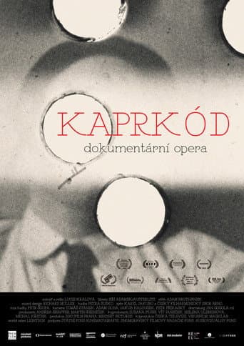 KaprKód afişi