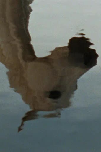 Adiós, ríos afişi