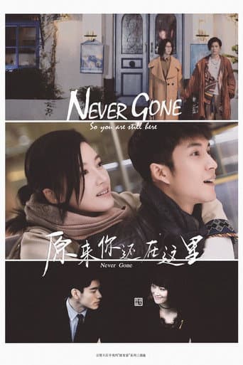 Never Gone afişi