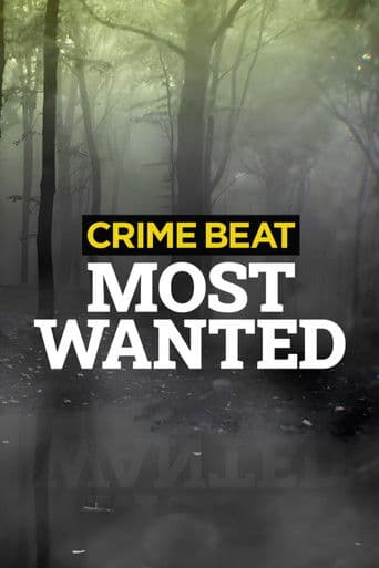 Crime Beat: Most Wanted afişi