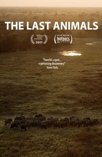 The Last Animals afişi