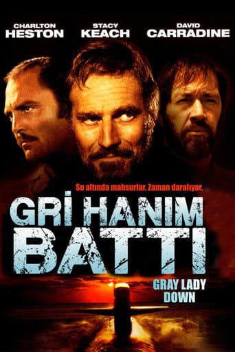 Gri Hanım Battı afişi