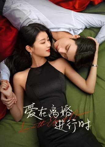 Love in the Edge of Divorce afişi