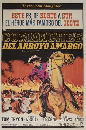 Stampede at Bitter Creek afişi