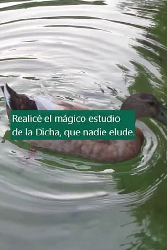 Cinco arrimamientos afişi