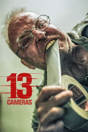 13 Cameras afişi