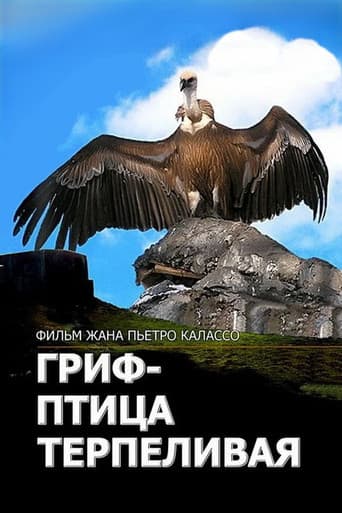 L'avvoltoio può attendere afişi