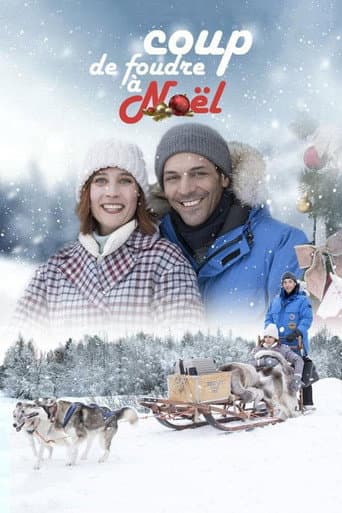 Coup de foudre à Noël afişi