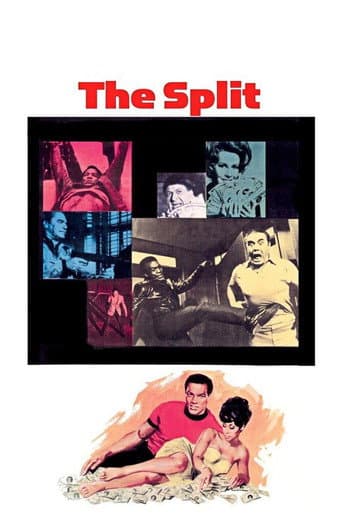 The Split afişi