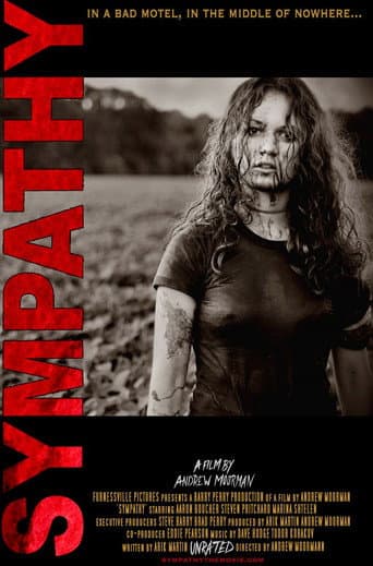 Sympathy afişi